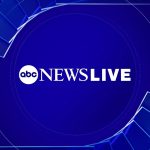 Important News Updates in One Place